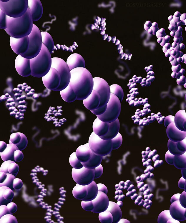 POLYMERS